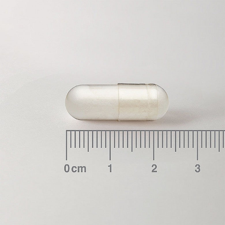 Acetyl L-Carnitine 500mg - 60 Capsules