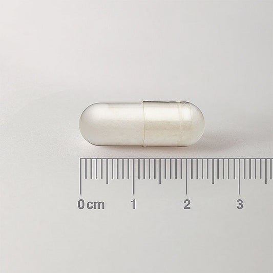 Acetyl L-Carnitine 500mg - 60 Capsules