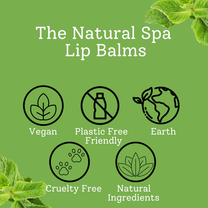 Lip Balm - Eucalyptus Lemon