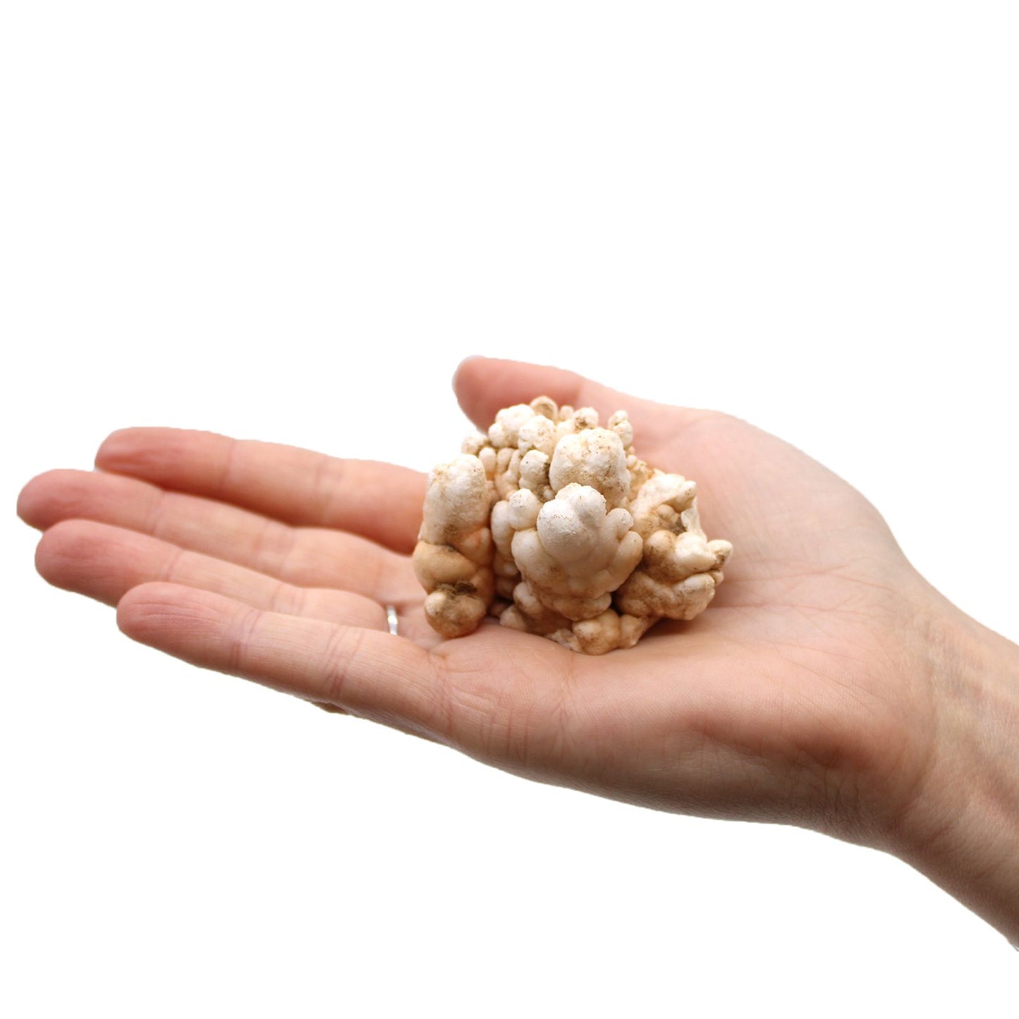 Finger Quartz - 1kg pack