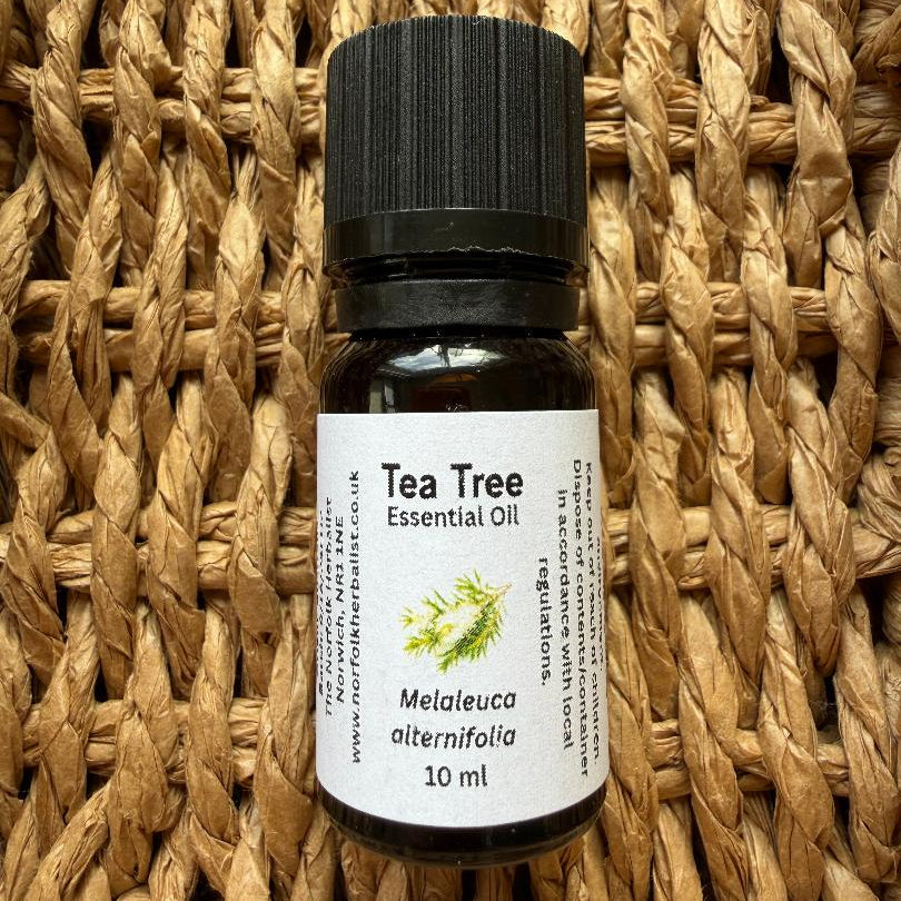 Tea Tree Essential Oil – Aromatic Use